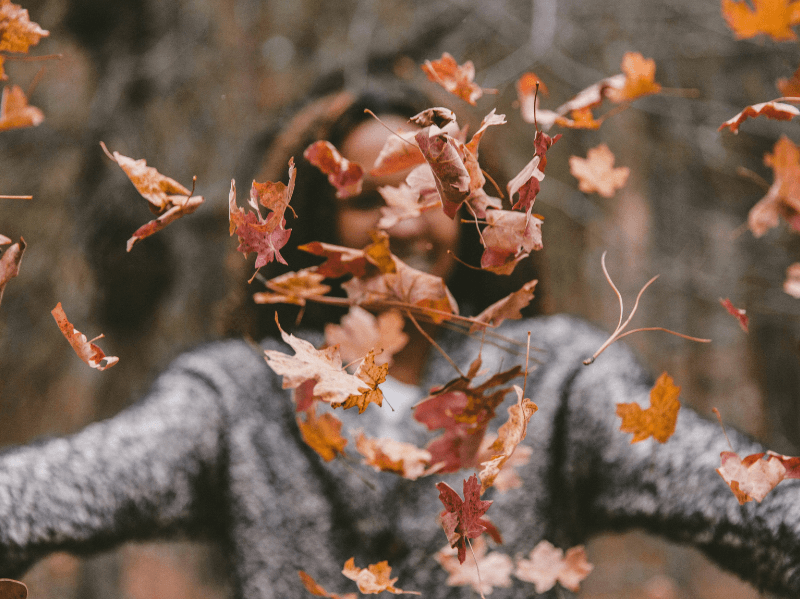 A person in a grey sweater throws autumn leaves into the air, with the falling leaves filling the camera frame