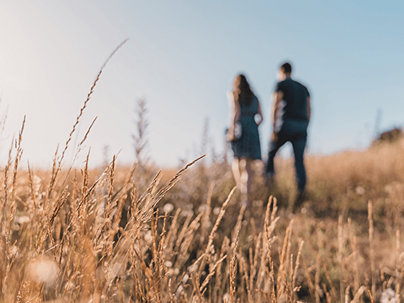 Romantic couple walks through a sunlit field with tall grass in nature during a summer day in Hilversum.